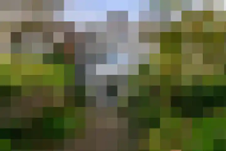 Van Slingelandtlaan 32 Dordrecht thumbnail 30