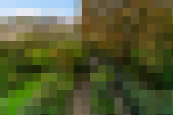 Van Slingelandtlaan 32 Dordrecht thumbnail 38