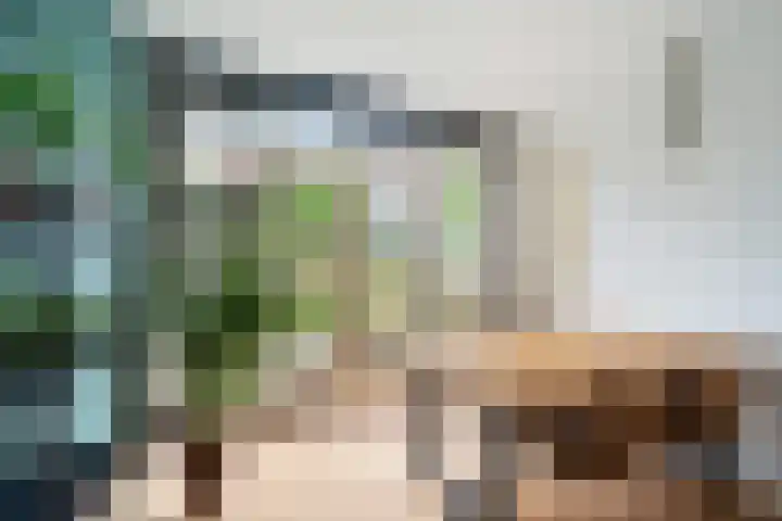 Van Slingelandtlaan 5 Dordrecht thumbnail 12