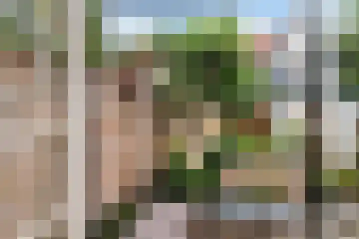 Van Slingelandtlaan 5 Dordrecht thumbnail 16