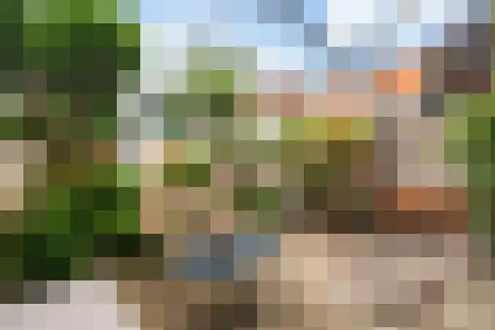 Van Slingelandtlaan 5 Dordrecht thumbnail 22
