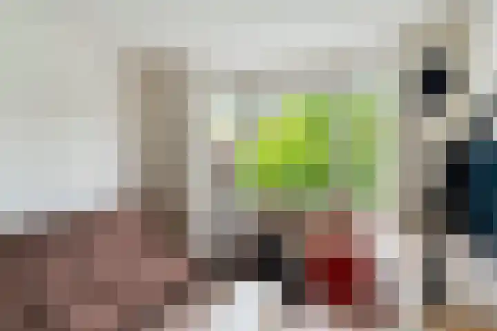 Van Slingelandtlaan 5 Dordrecht thumbnail 30