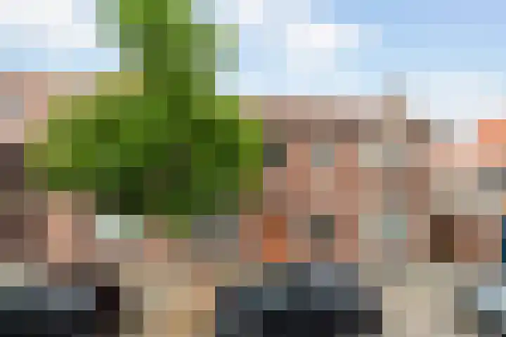 Van Slingelandtlaan 5 Dordrecht thumbnail 43