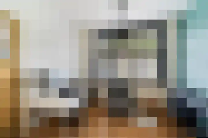 Van Slingelandtlaan 5 Dordrecht thumbnail 9