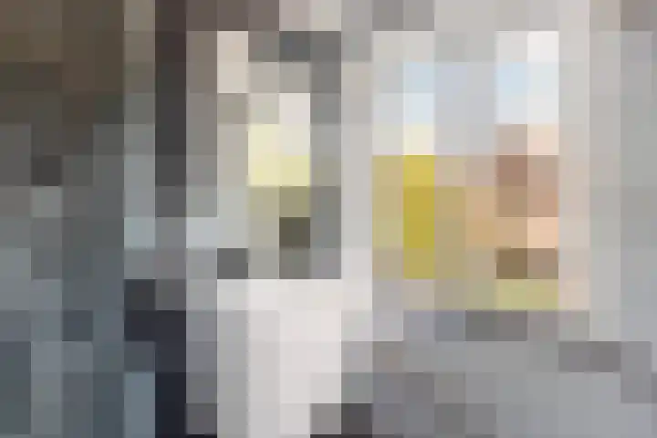 Van Slingelandtlaan 9 Dordrecht thumbnail 17