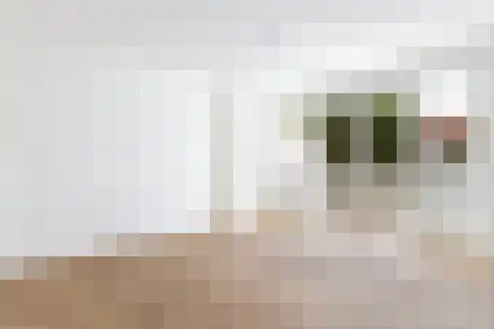 Van Slingelandtlaan 9 Dordrecht thumbnail 19
