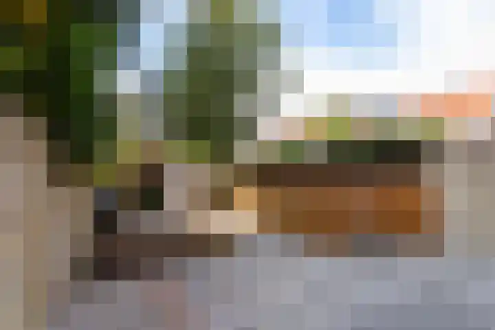 Van Slingelandtlaan 9 Dordrecht thumbnail 27