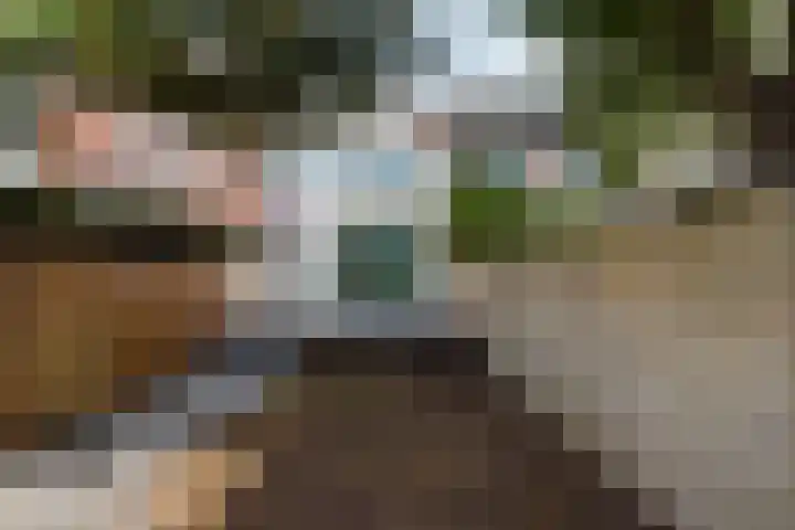 Van Slingelandtlaan 9 Dordrecht thumbnail 5