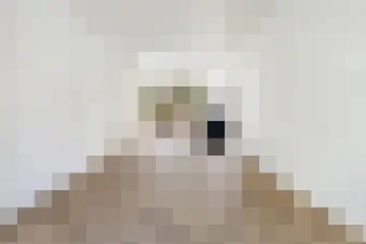 Van Slingelandtlaan 9 Dordrecht thumbnail 9