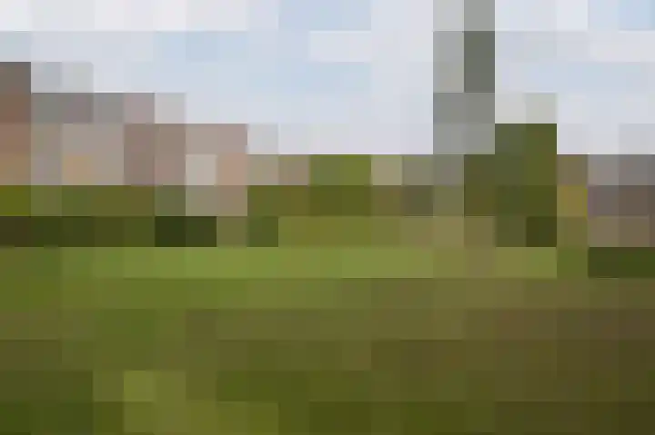 van Slingelandtstraat 11 C Vlaardingen thumbnail 21