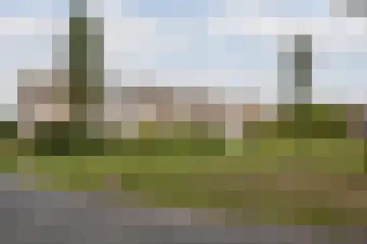 van Slingelandtstraat 11 C Vlaardingen thumbnail 22