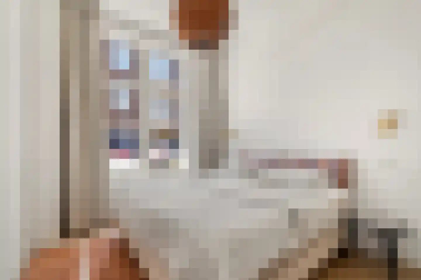 Van Slingelandtstraat 130 Den Haag thumbnail 15