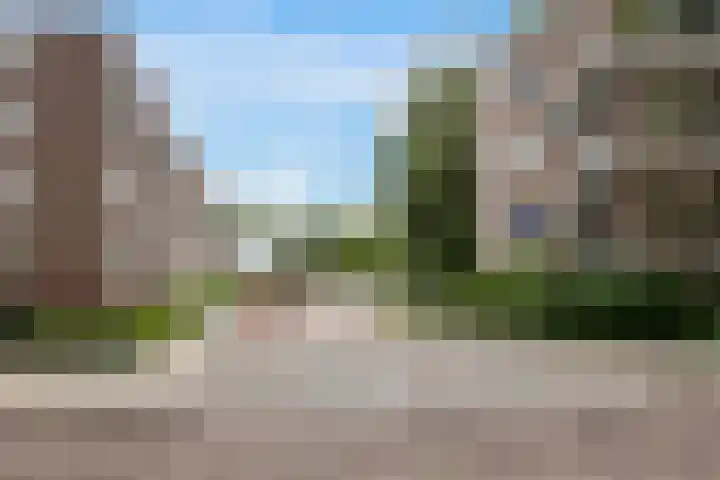van Slingelandtstraat 19 C Vlaardingen thumbnail 5