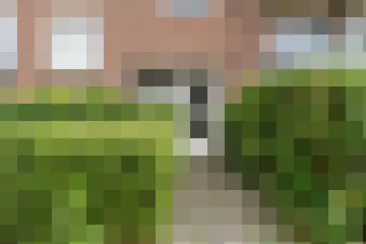 van Slingelandtstraat 19 C Vlaardingen thumbnail 8