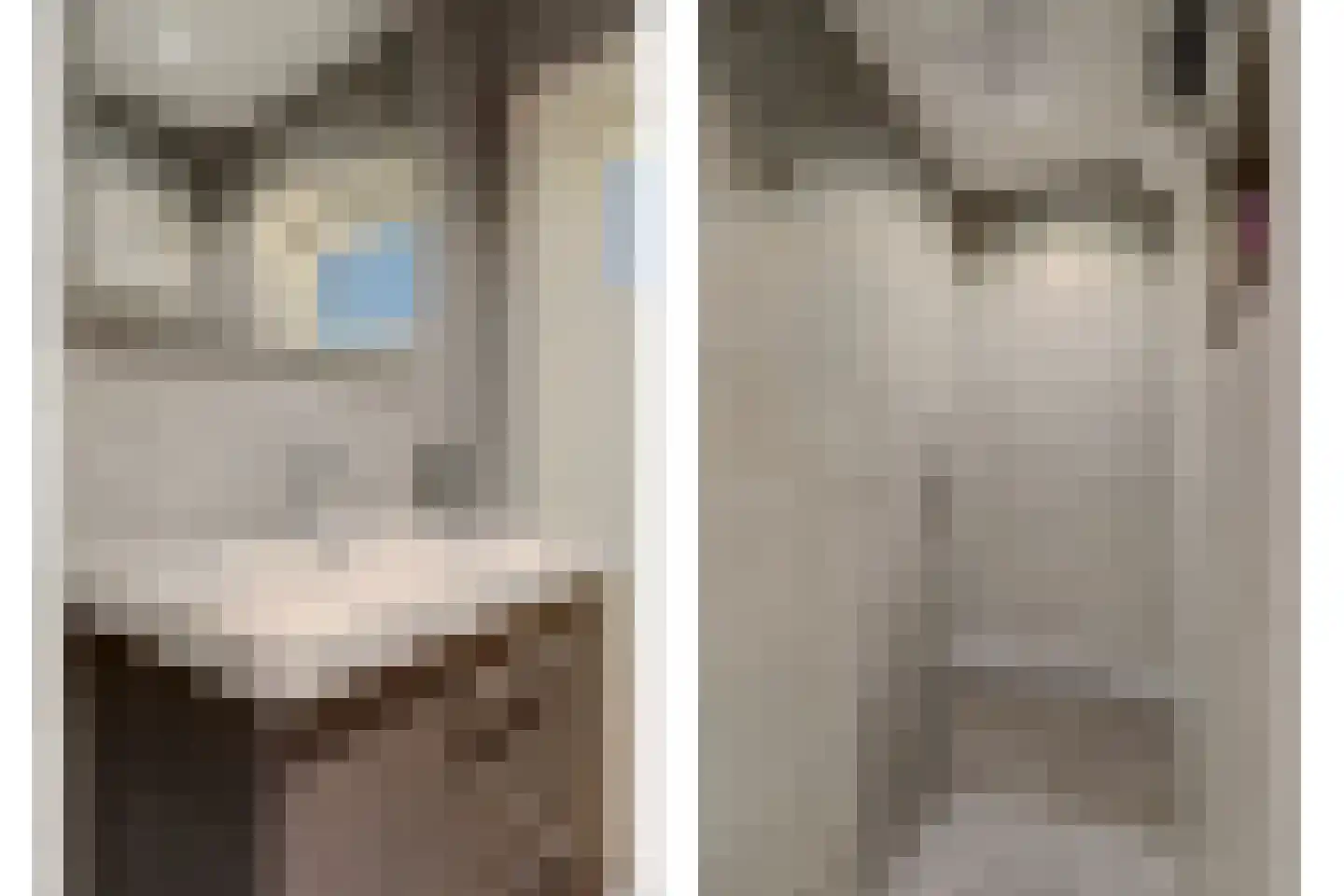 van Slingelandtstraat 2 Katwijk thumbnail 31