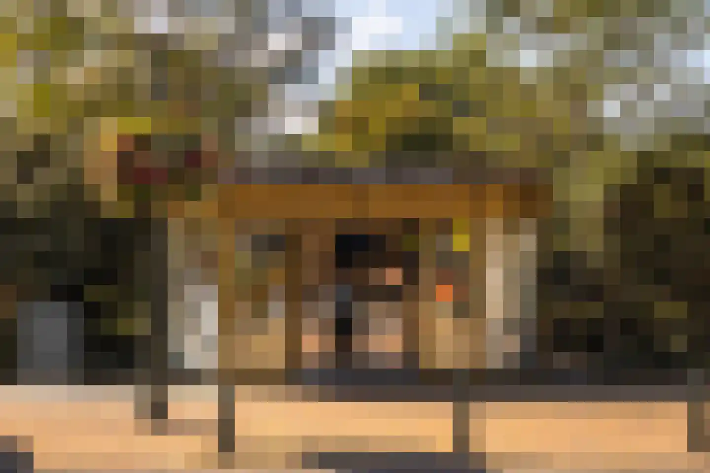 Van Slingelandtstraat 201 Den Haag thumbnail 27