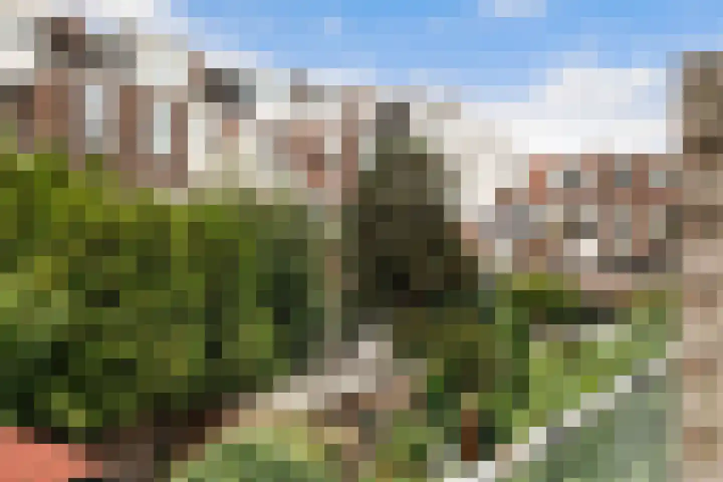 Van Slingelandtstraat 24 A Den Haag thumbnail 28
