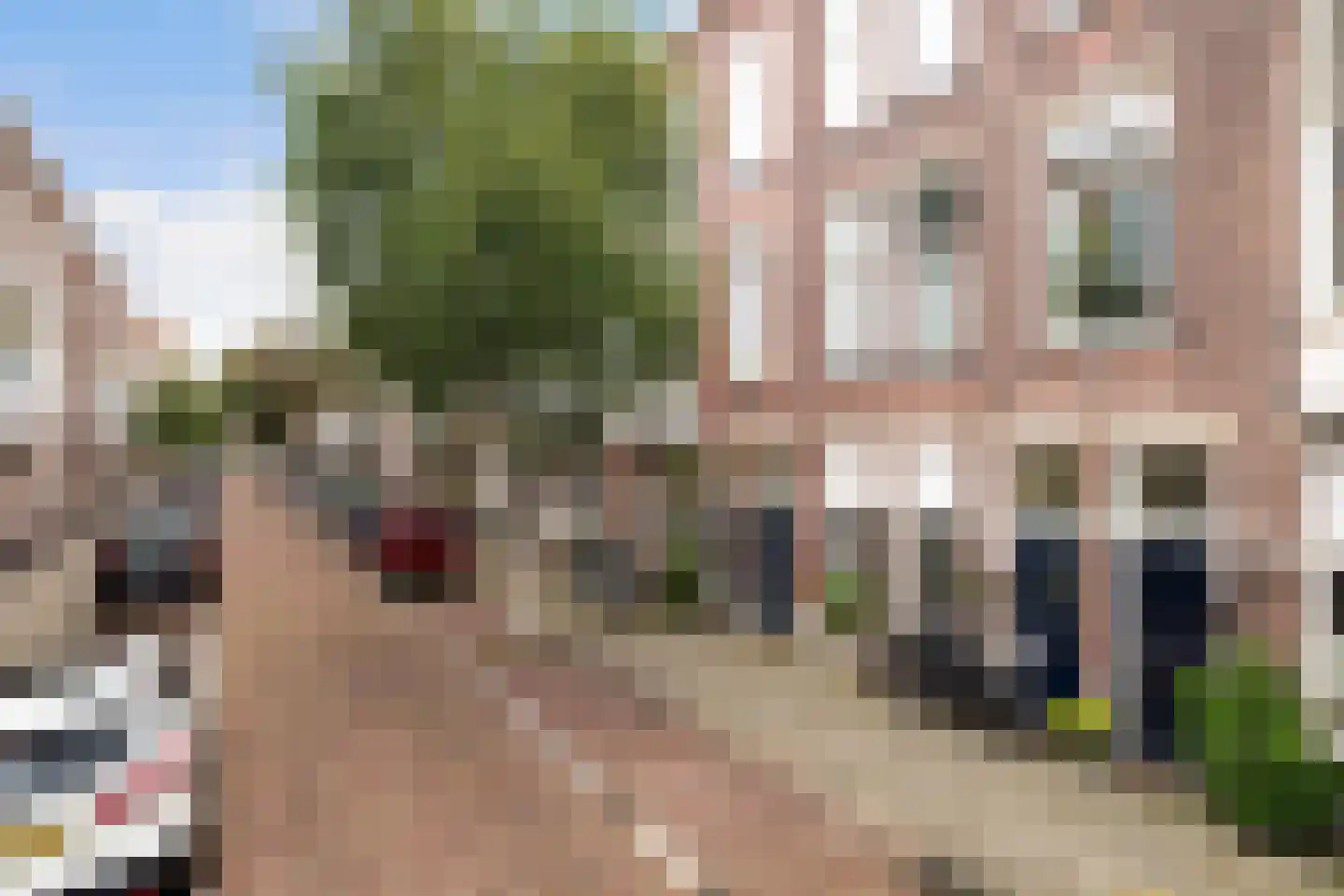 Van Slingelandtstraat 24 A Den Haag thumbnail 6