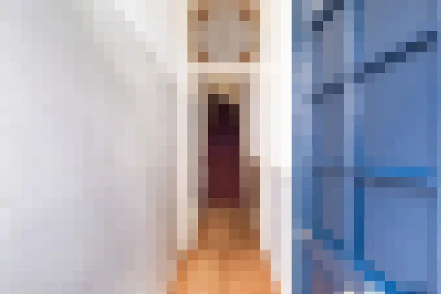 Van Slingelandtstraat 24 A Den Haag thumbnail 9