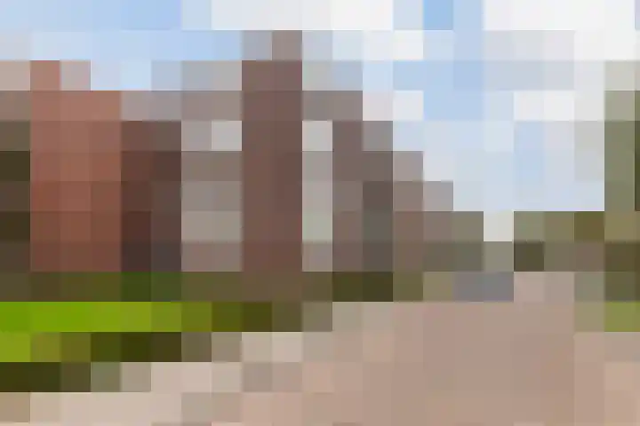 van Slingelandtstraat 3 A Vlaardingen thumbnail 28