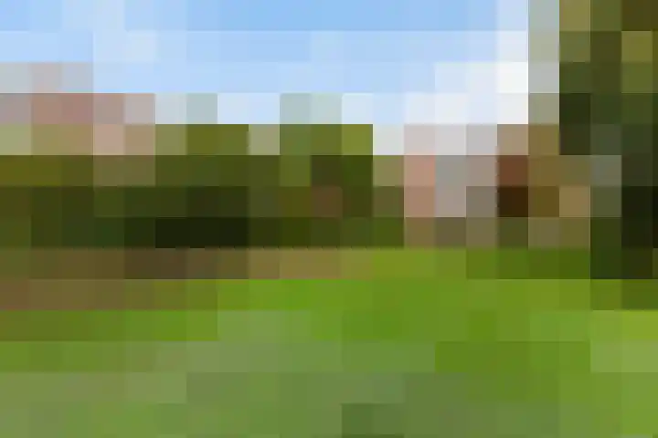 van Slingelandtstraat 3 A Vlaardingen thumbnail 30