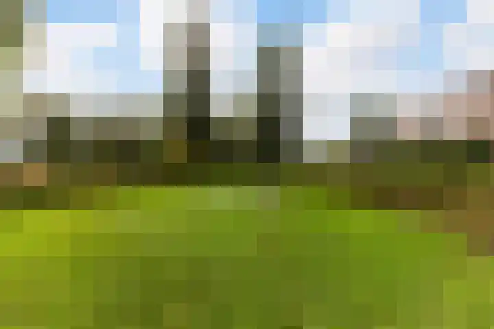 van Slingelandtstraat 3 A Vlaardingen thumbnail 31