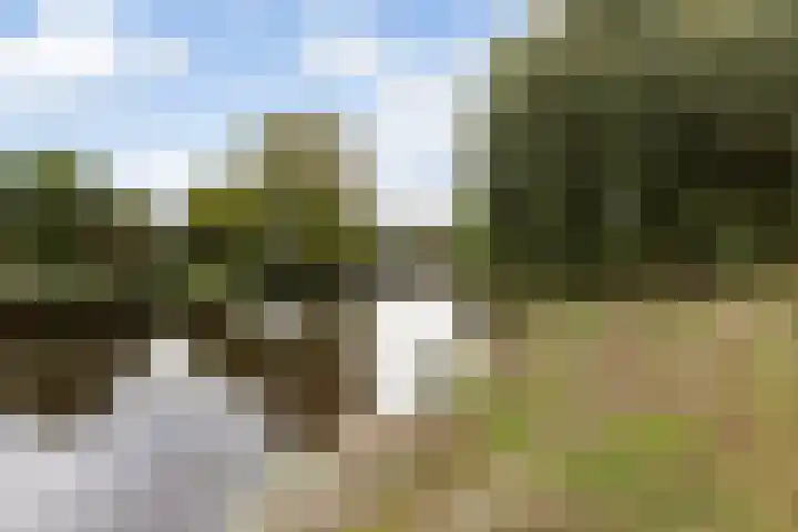 van Slingelandtstraat 3 A Vlaardingen thumbnail 33