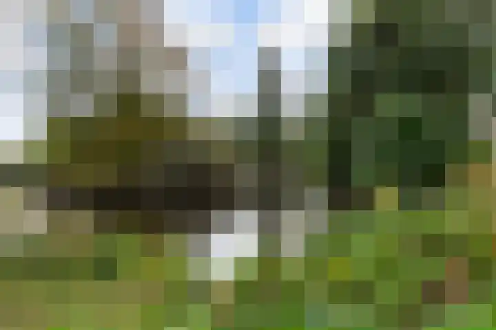 van Slingelandtstraat 3 A Vlaardingen thumbnail 34