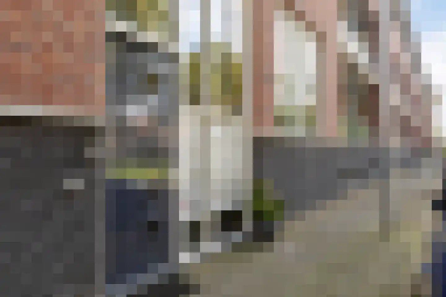 van Slingelandtstraat 31 C Breda thumbnail 7