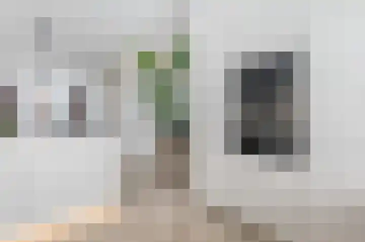 Van Slingelandtstraat 37 Den Haag thumbnail 20