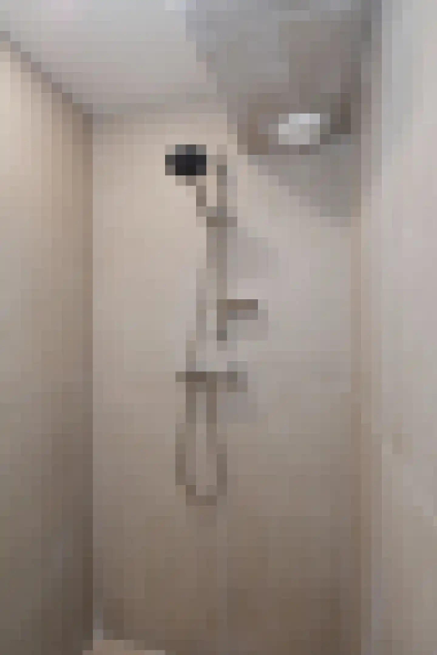 van Slingelandtstraat 5 B Vlaardingen thumbnail 20
