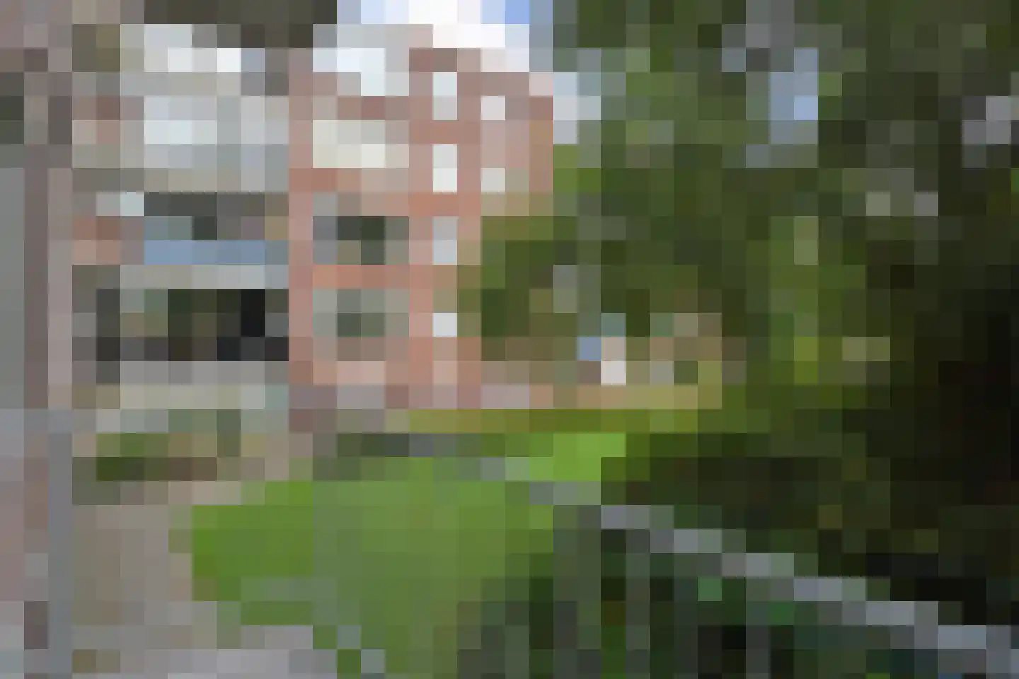 van Slingelandtstraat 5 B Vlaardingen thumbnail 23