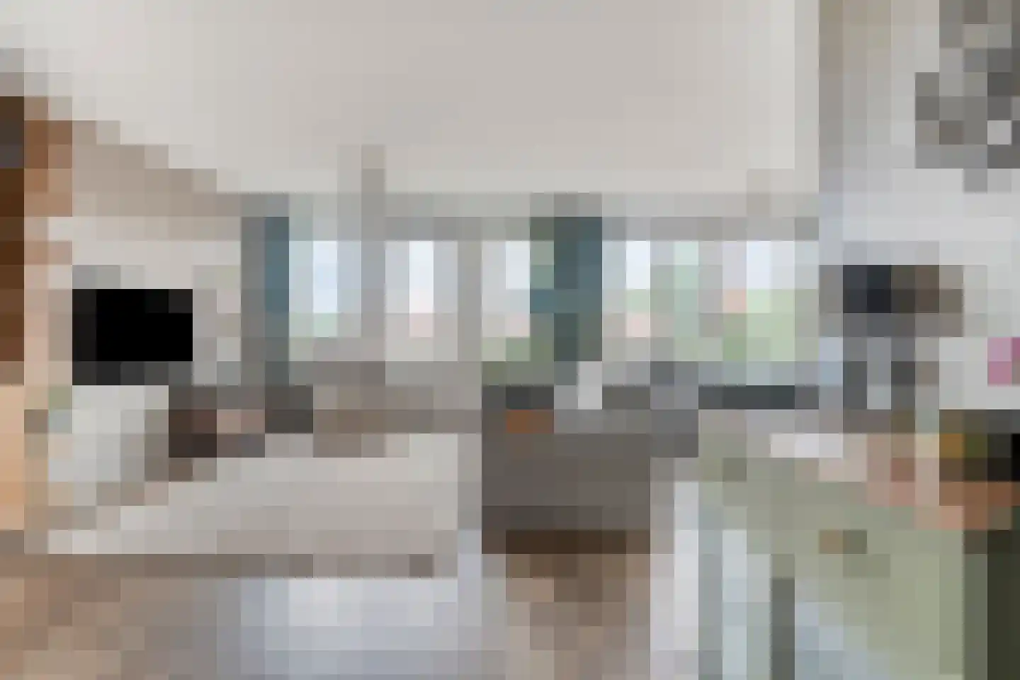 van Slingelandtstraat 53 B Breda thumbnail 9