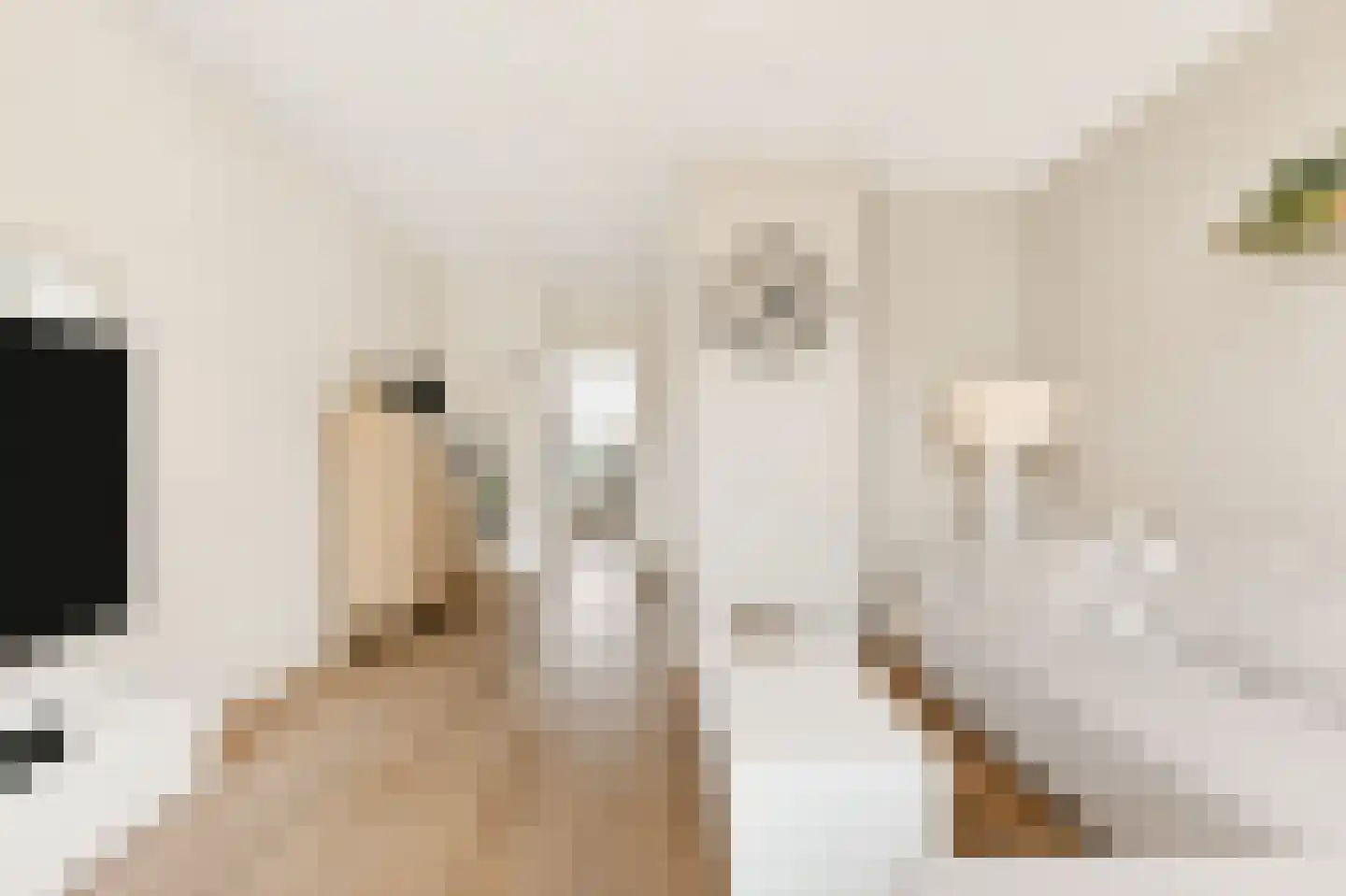 van Slingelandtstraat 65 Katwijk thumbnail 5