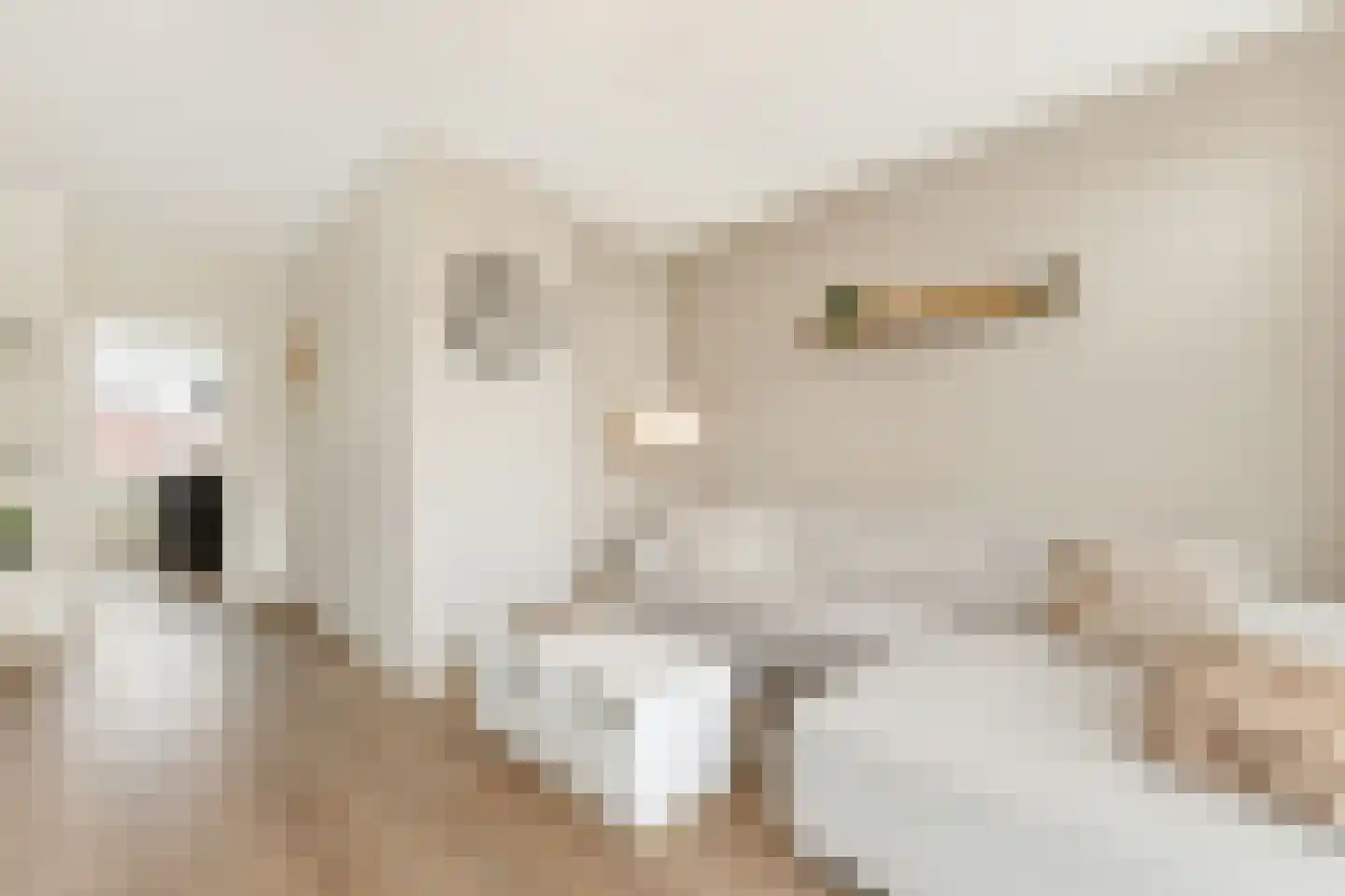 van Slingelandtstraat 65 Katwijk thumbnail 7