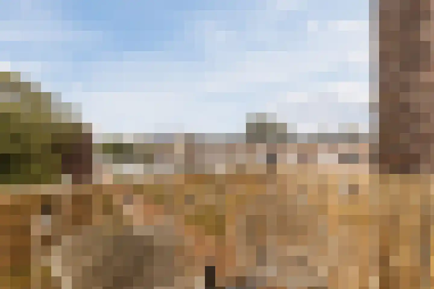 van Slingelandtstraat 65 Katwijk thumbnail 8