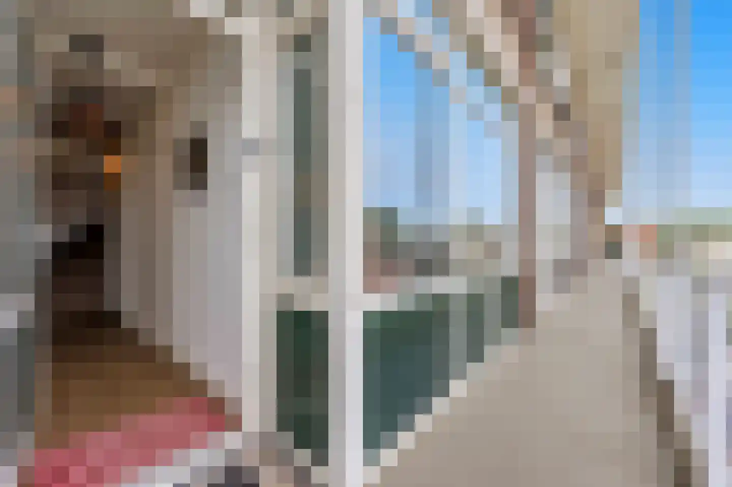 van Slingelandtstraat 73 Katwijk thumbnail 11