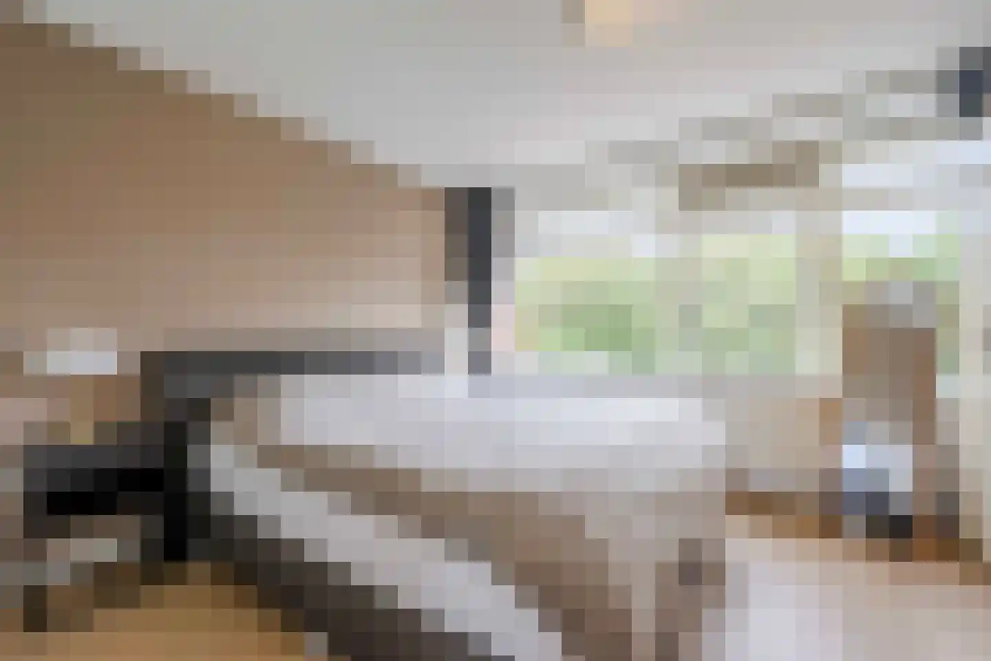 van Slingelandtstraat 73 Katwijk thumbnail 38