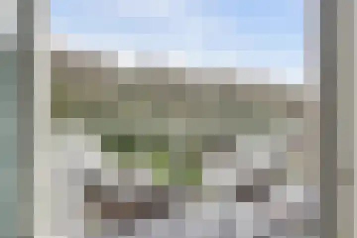van Slingelandtstraat 75 Katwijk thumbnail 6