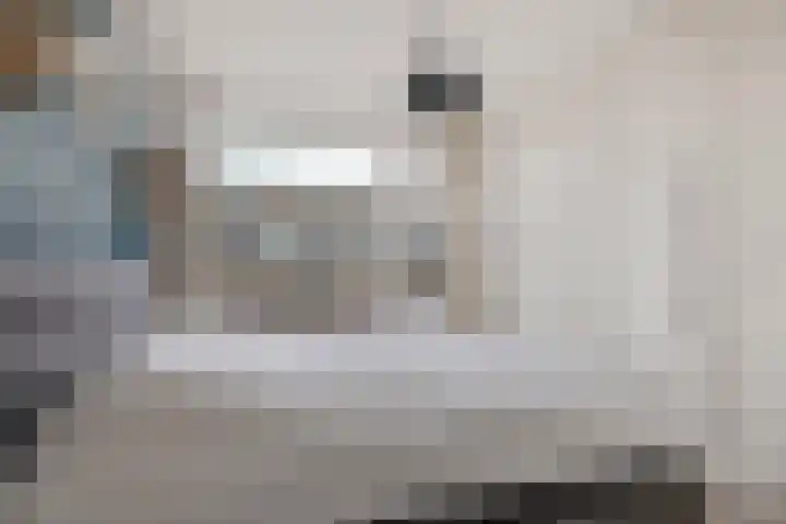 van Slingelandtstraat 8 Katwijk thumbnail 5