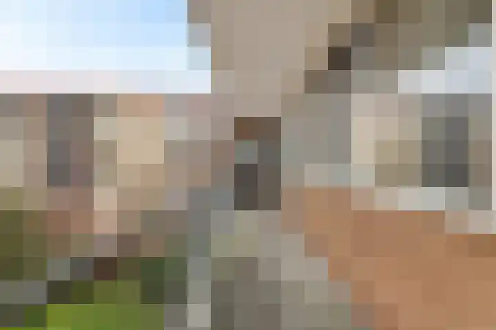 van Slingelandtstraat 8 Katwijk thumbnail 6