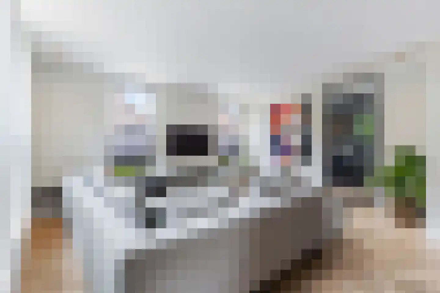 Van Slootenstraat 8 Nijkerk thumbnail 12