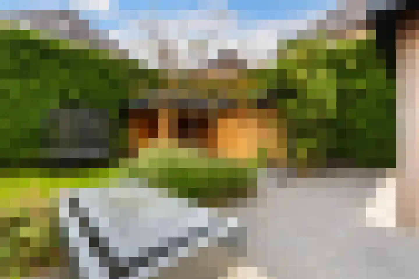 Van Slootenstraat 8 Nijkerk thumbnail 22