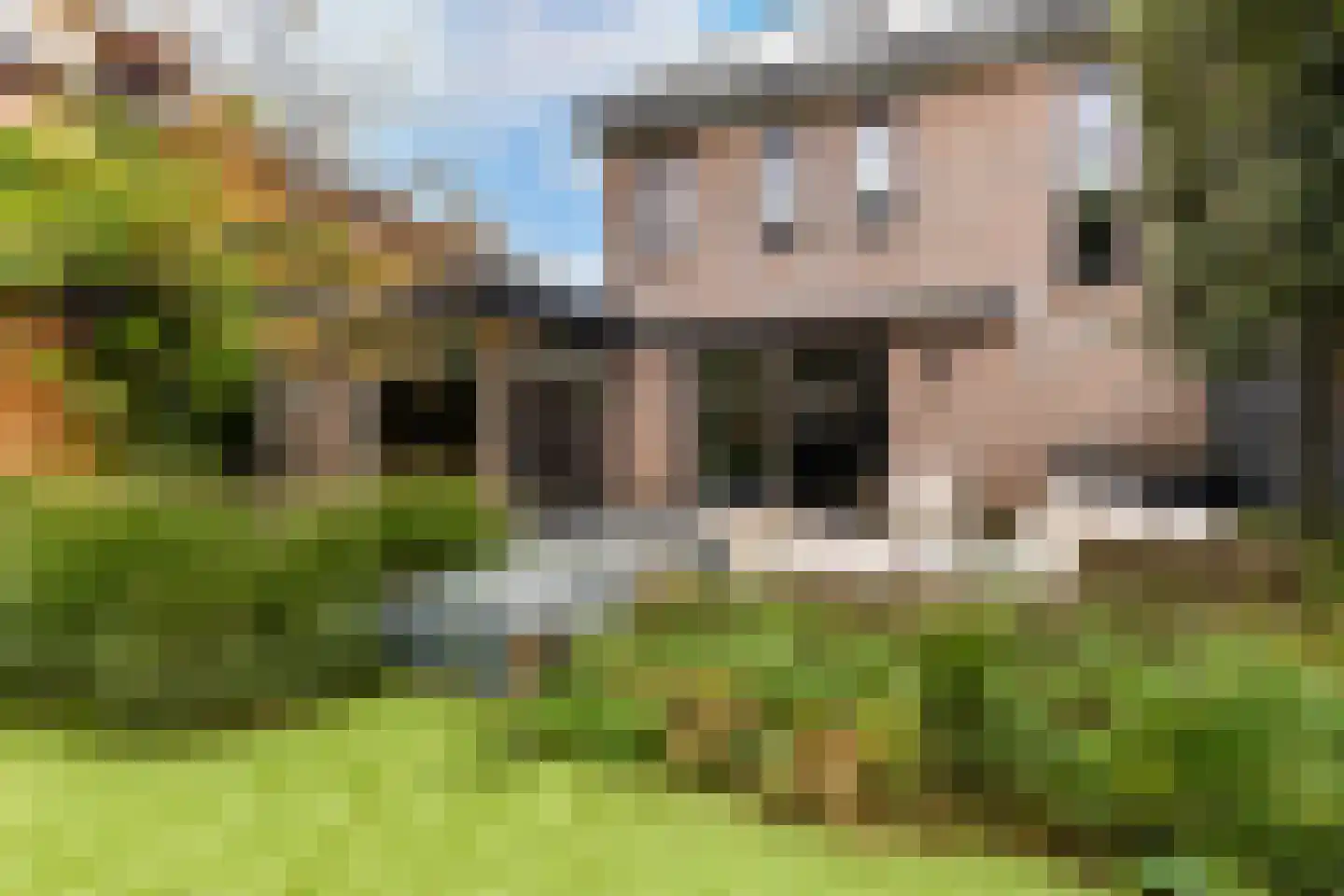 Van Slootenstraat 8 Nijkerk thumbnail 25