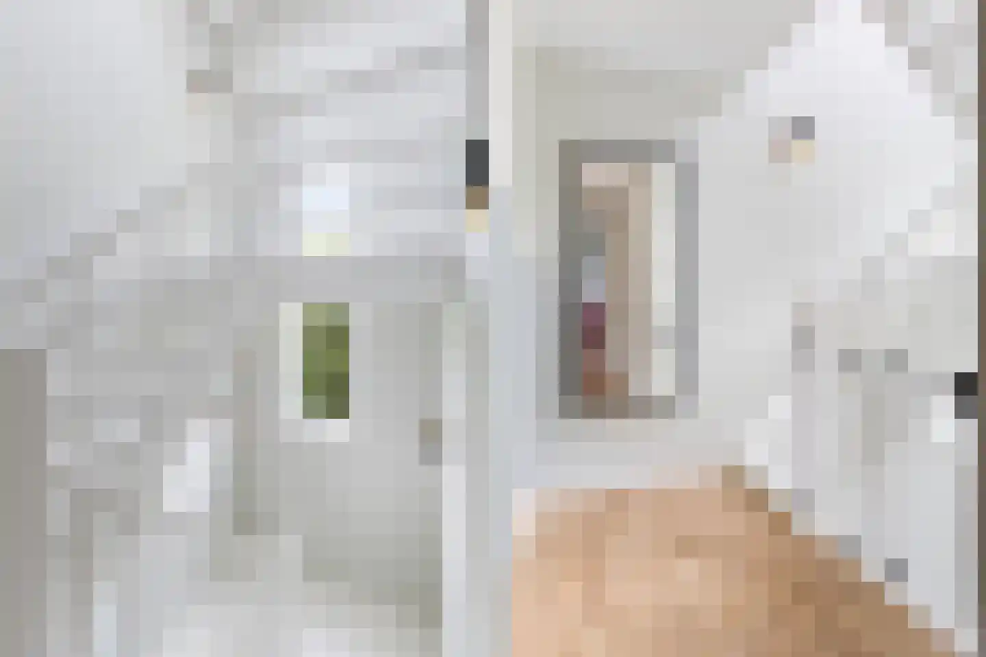 Van Slootenstraat 8 Nijkerk thumbnail 26