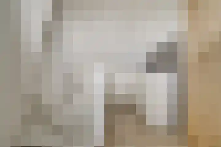van Slotendreef 25 Rucphen thumbnail 23