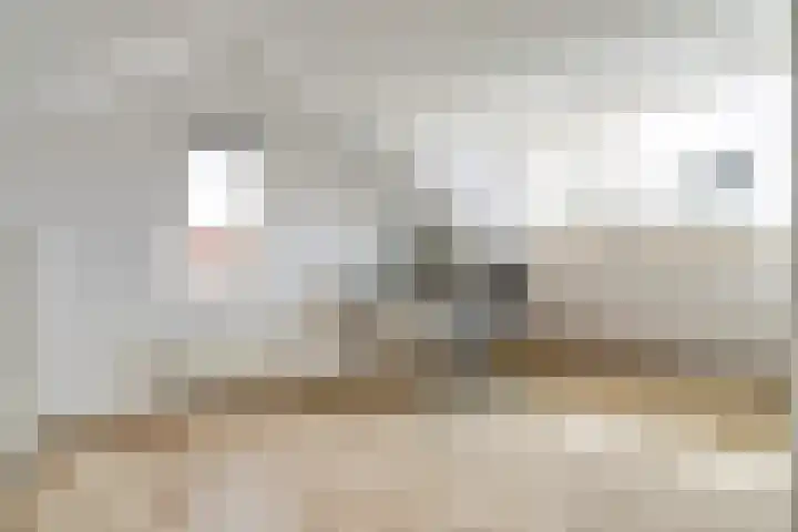 van Slotendreef 25 Rucphen thumbnail 24