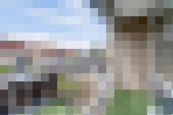 van Slotendreef 25 Rucphen thumbnail 29