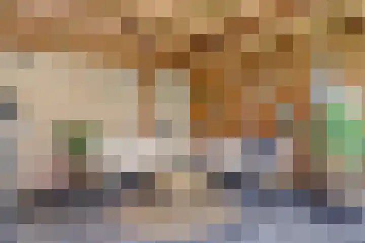 van Slotendreef 25 Rucphen thumbnail 31