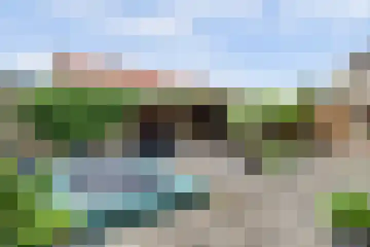 van Slotendreef 25 Rucphen thumbnail 33